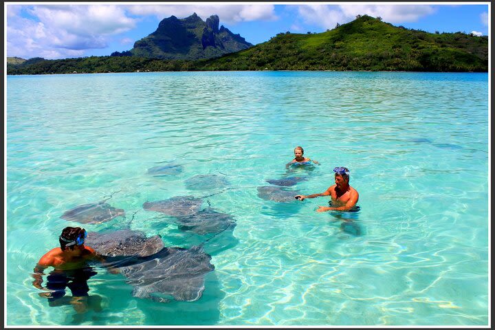 Private Bora Bora Lagoon & Water Lunch Experience image