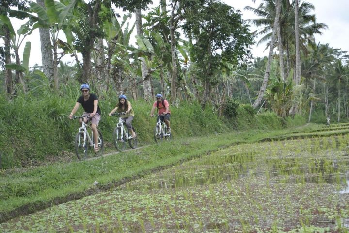 Sightseeing and culture Balinese life at Taro Village (North of UBUD) image