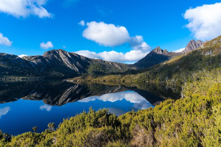 Cradle Mountain National Park Day Tour image