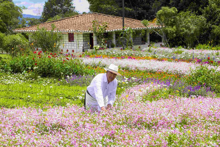 Colombia traditional flowers full day tour image