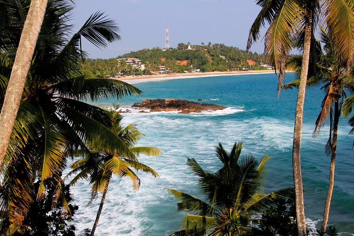 Private 8-Day Tour of Sri Lanka from Colombo image