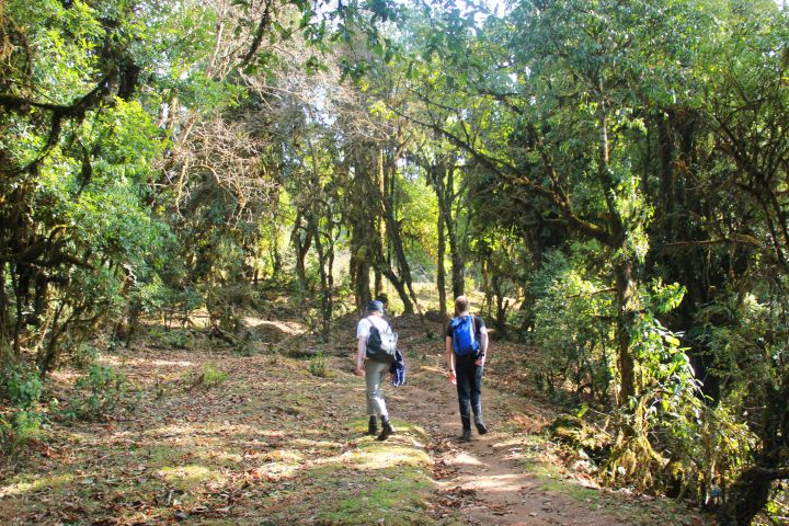 Mardi Himal Trek image