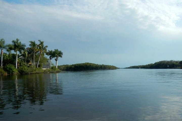 Manatee Sightseeing Eco-Tour by Boat in Naples image