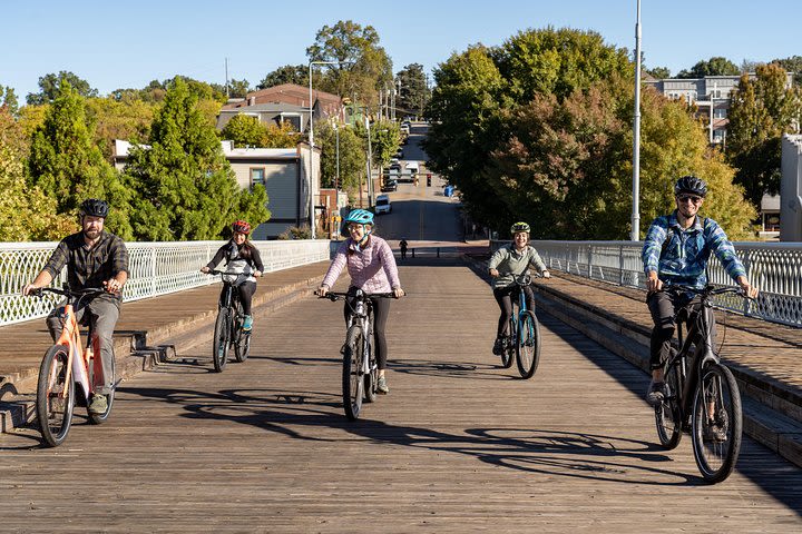 Chattanooga Guided Electric Bike City Tour image