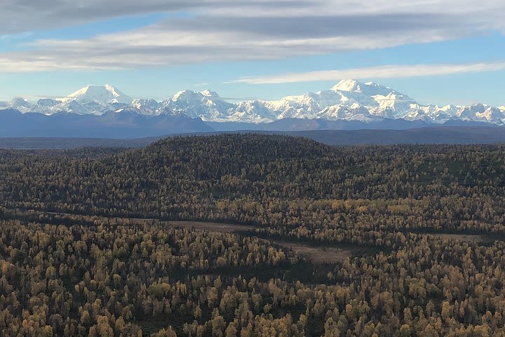 Half Day Scenic Rafting Trip image