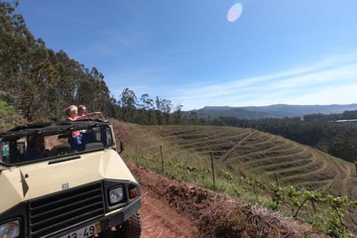 Poncha, Vineyards, Mountains & Cliffs (Nun´s Valley View) - Half Day 4x4 Tour image