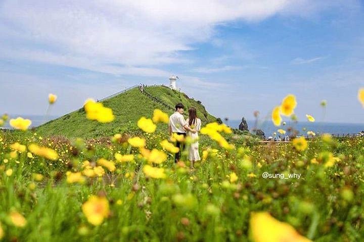 Jeju island East 1 day Bus tour (Lunch + Free Snap Photo included) image