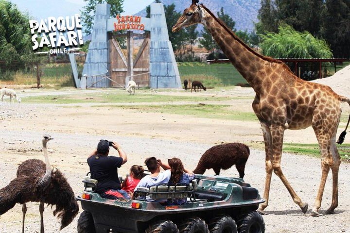 Safari Park Full Day from Santiago image