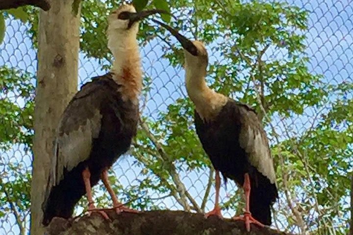 Aviario Park and Playa Blanca image