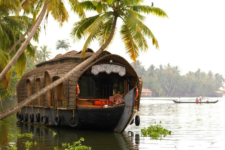 From Cochin Port: Backwater Cruise by Houseboat image