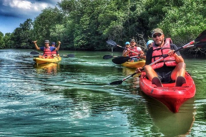 Mangrove Kayaking Adventure image