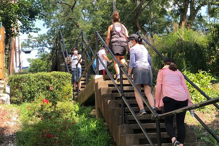 Simply Steps: A City Steps Tour of Troy Hill and Spring Garden image