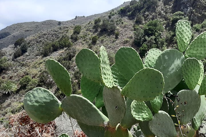 Anaga Rural Park image