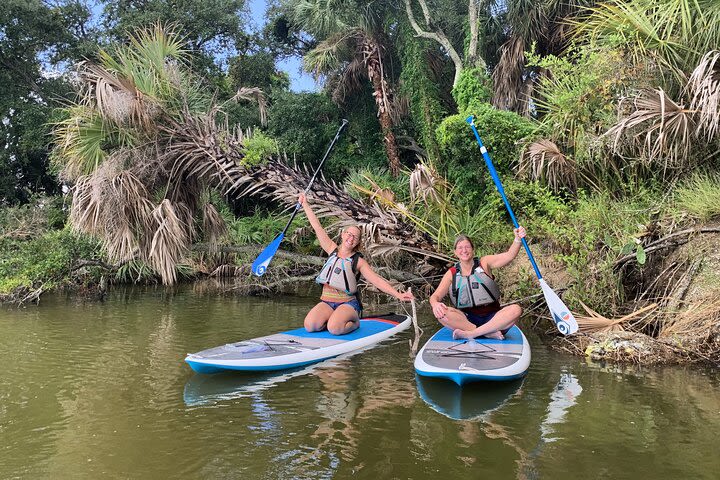 Wildlife Refuge Manatee, Dolphin & Mangrove Kayak or Paddleboarding Tour! image