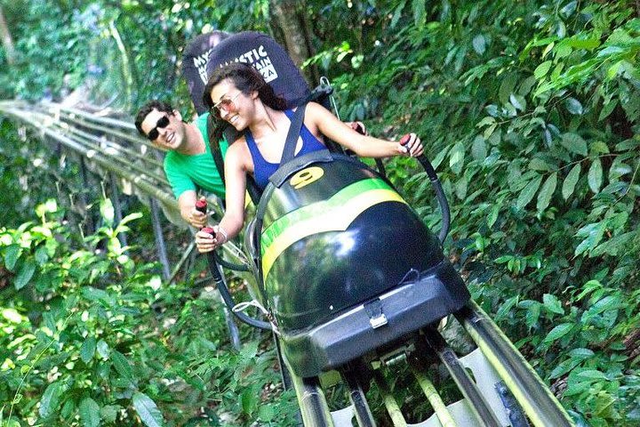 Jamaica Bobsled & Dunn's River Falls Adventure Tour from Runaway Bay image