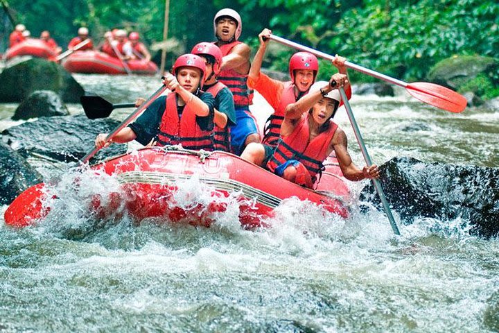 Real Adventure White Water Rafting At Telaga Waja River image