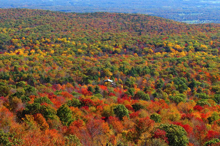 Private Hudson Valley Fall Foliage Helicopter Tour from Westchester (3-5 People) image