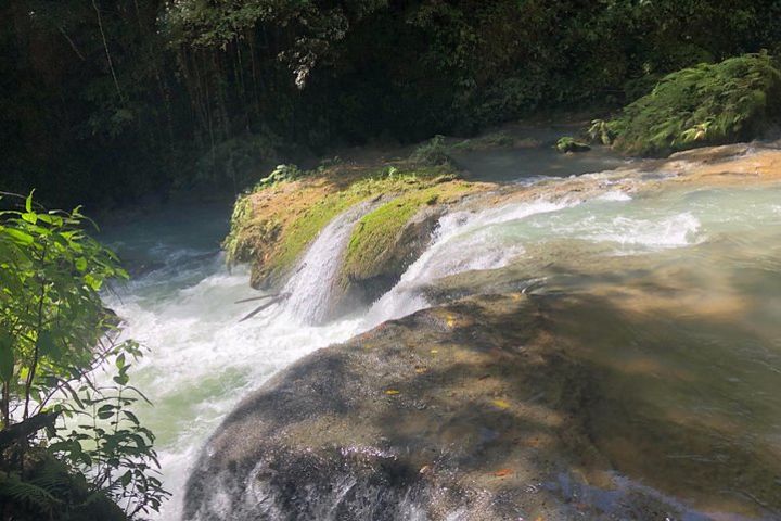 South Coast Jamaica YS Falls Tour image