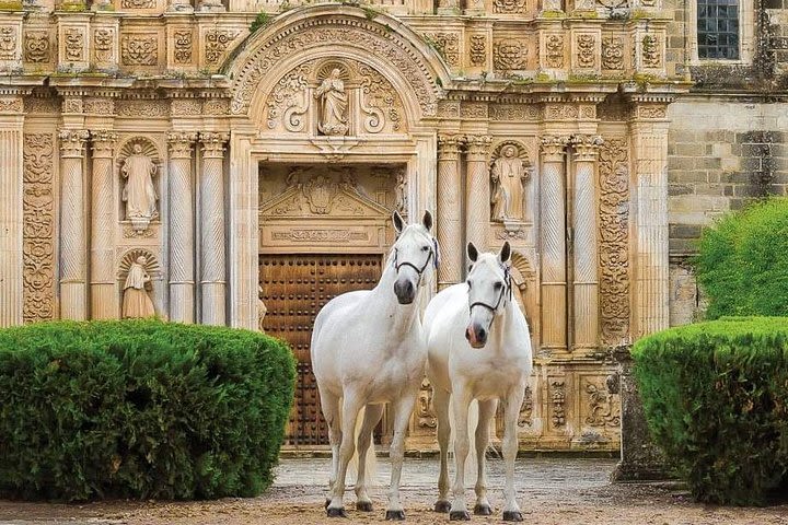 Cadiz Shore Excursion: Best of Jerez & Cadiz  image