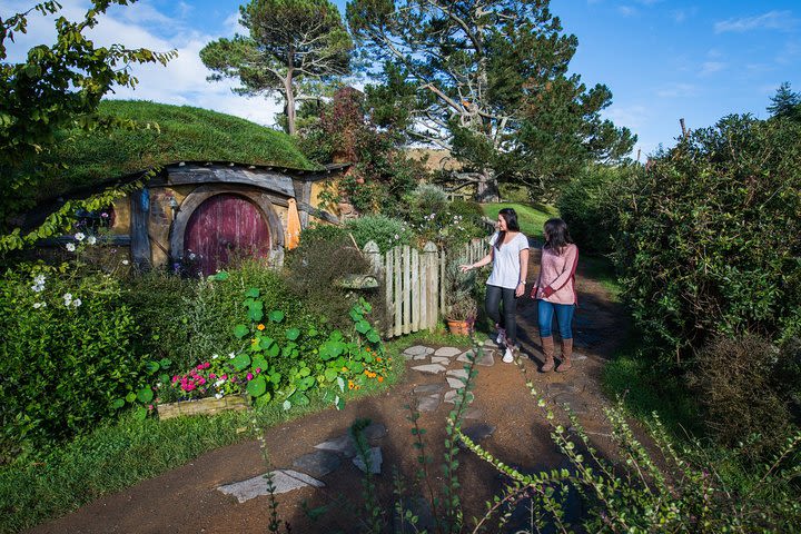 Hobbiton Movie Set Group Tour Early Access (Avoid the crowds!) image