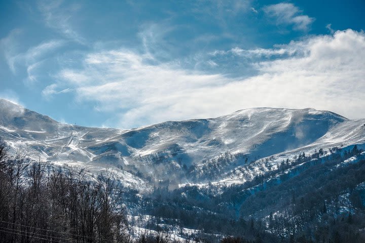 Transfer Tbilisi - Bakuriani/Borjomi image