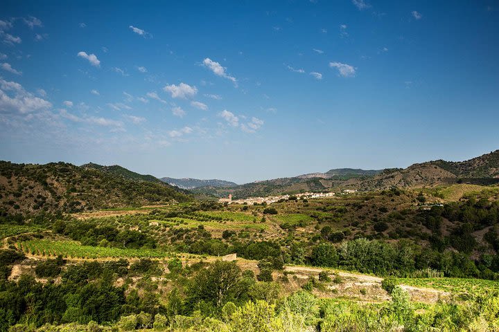 From Barcelona: winery tour and tasting in Priorat image