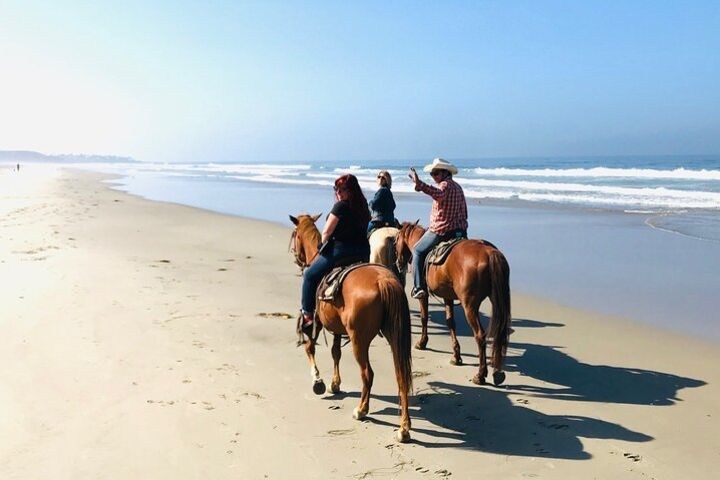 Amazing Guided Horseback Ride through La Mision estuary and beach image