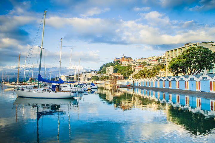 Wellington City Sights and Coastline Guided Tour image