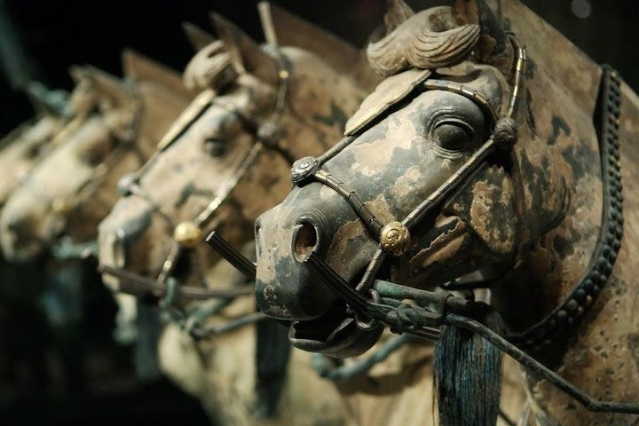 Terracotta Warriors from Qin & Han with Simulated Archaeological Digging Class image