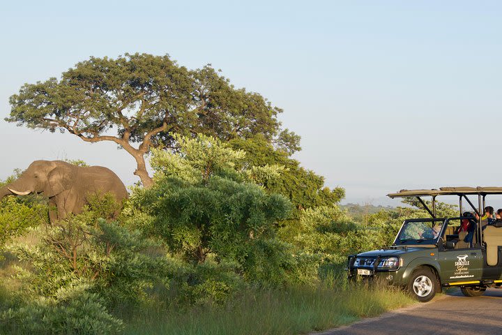 5-Day Kruger Park Safari & Panoramic Tour Combo including Breakfast and Dinner image