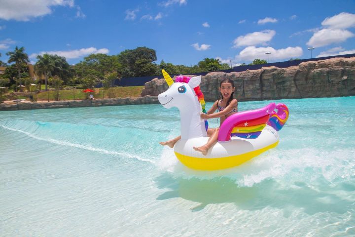 Blue Park Foz Water Park Day Pass image