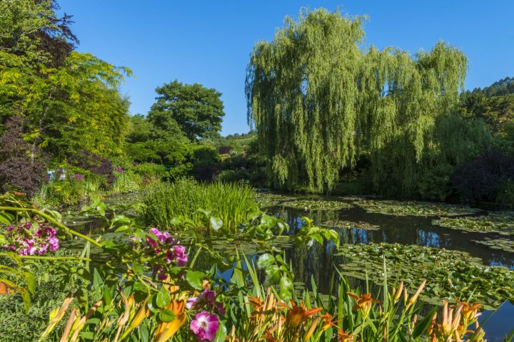 Cruise Excursion from Le Havre to Giverny Gardens & Honfleur image