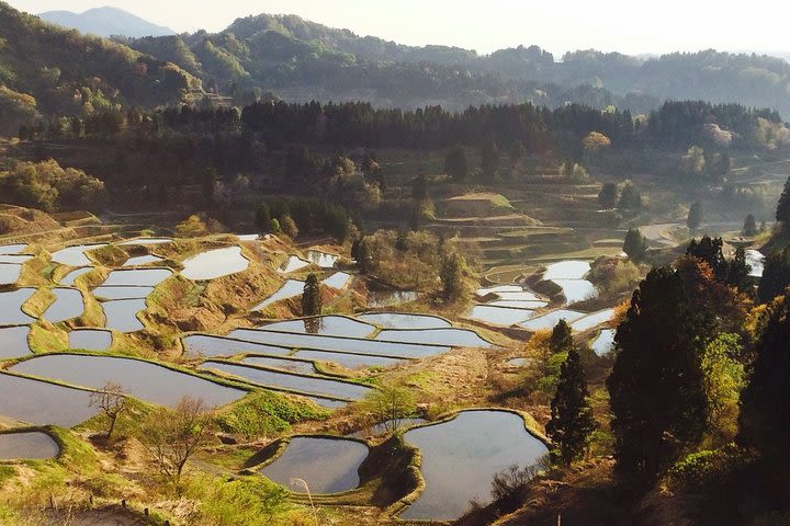 Amazing walk in the picturesque rice terraces in Hoshi-Toge, Tokamachi, Niigata image