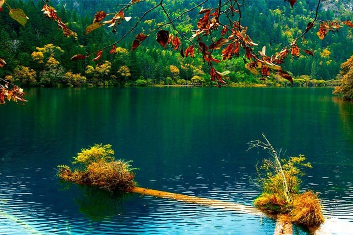 Private 4-Day Jiuzhaigou and Huanglong National Parks Tour from Chengdu image