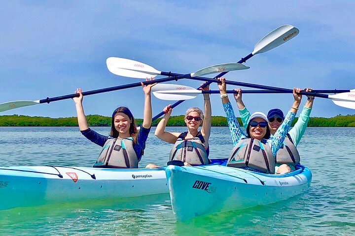 Small Group Kayak Tour of the Shell Key Preserve image