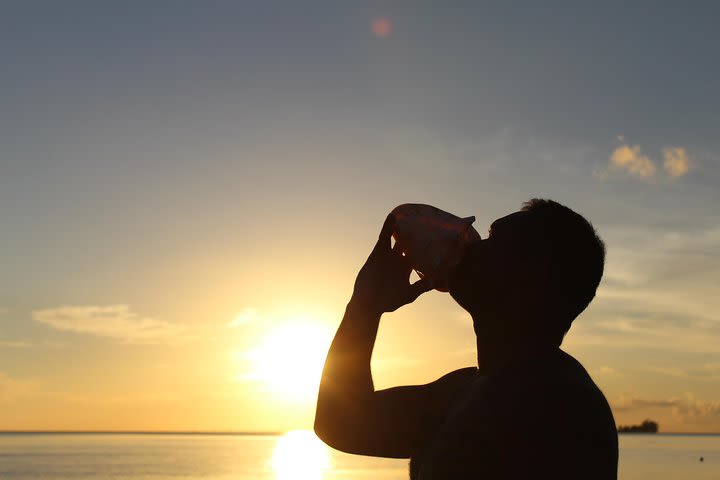 PRIVATE SUNSET LAGOON CRUISE - Bora Bora Cultural Lagoon Tour image