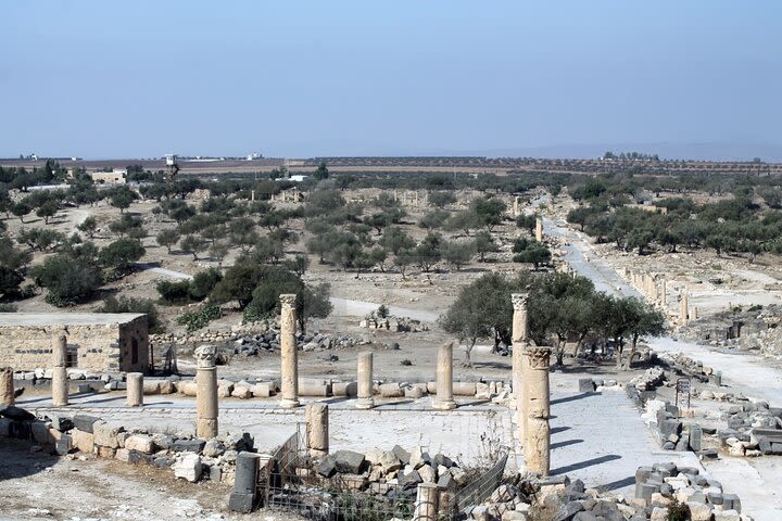 From Amman to North ( umm qais, Jerash and ajloun)  image