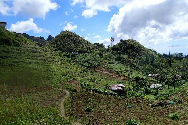 Osmena Peak Trekking image