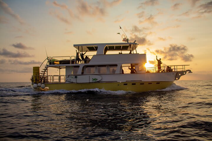 Chica55ftYachtVIP ALLINCLUSIVE HalfDays UpTo 3Hours Sunset PrivateTour image