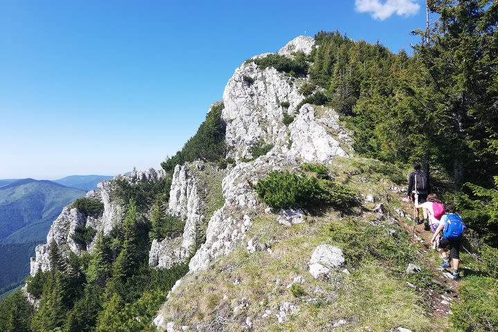 Day Hike PRIVATE - Piatra Craiului National Park image