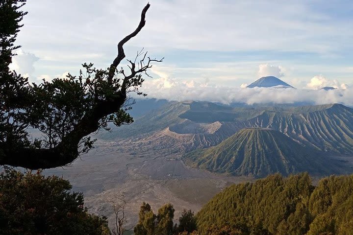 Bromo and Ijen Tour image