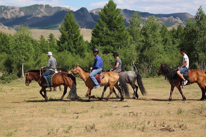 Horse Trekking In Terelj National Park image