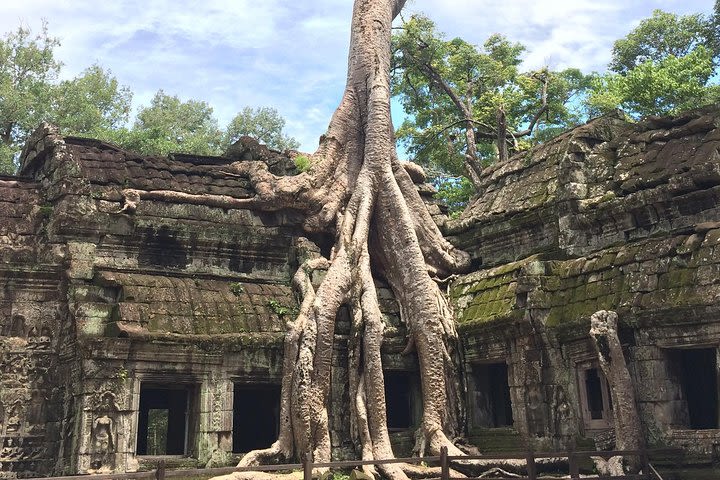 Ultimate Private Angkor Guide To Sunrise Angkor Wat, Bayon, TaProhm, Bantey Srei image