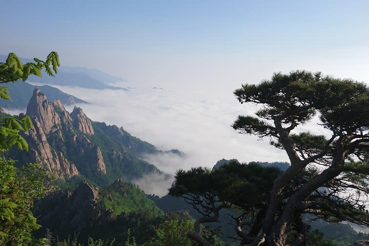 One-Day Tour for stunning Mt.Seoraksan from Seoul image