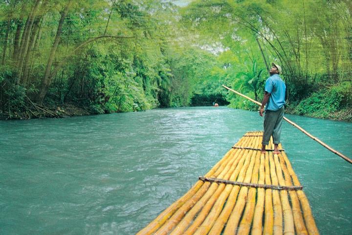 Martha Brae Rafting and Luminous Lagoon Tour image