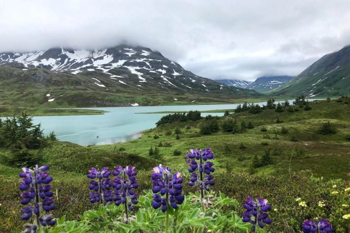 Lost Lake Trail Hiking Adventure image