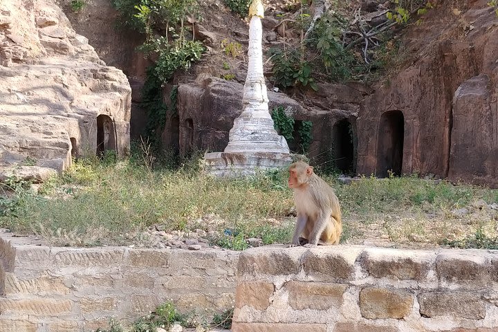 Monywa Day Return Tour from Mandalay image