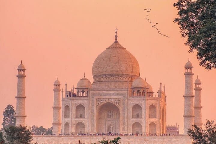 Private Taj Mahal Tour From Jaipur image