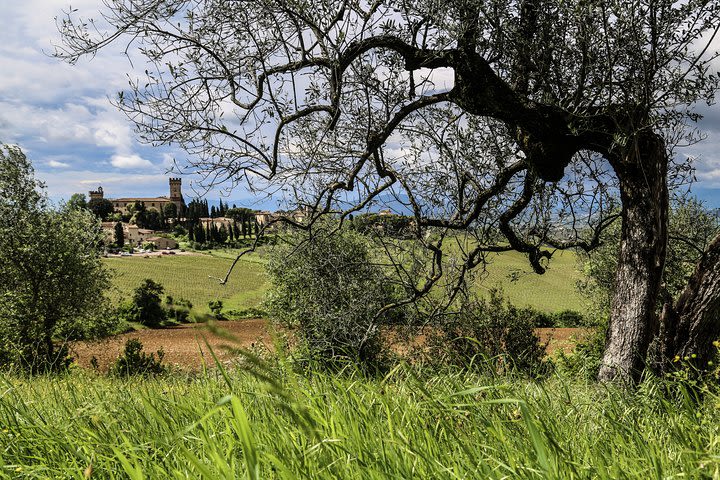 Ring of Chianti Classico E-bike tour image