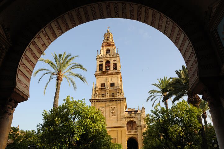 Cordoba Day Trip from Seville image